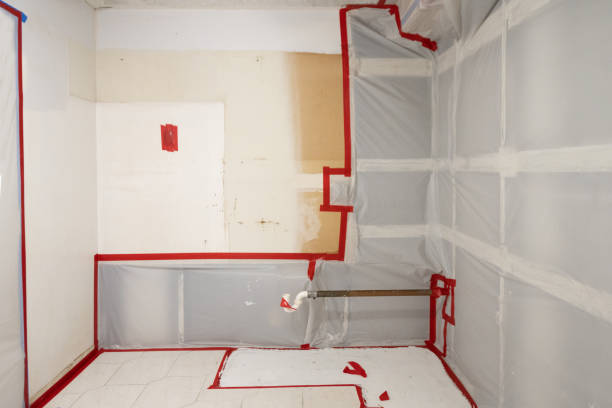 Best Mold Remediation for Healthcare Facilities  in Corning, NY